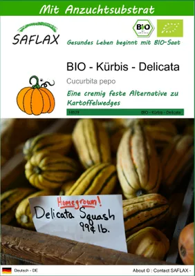 Produktbild von SAFLAX - BIO - Kürbis - Delicata - 6 Samen - Mit keimfreiem Anzuchtsubstrat - Cucurbita pepo