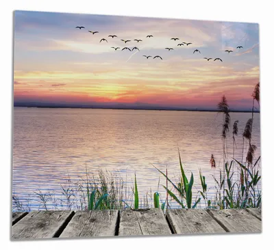 Produktbild von Wallario Herdabdeckplatte aus Glas, Größe 60 x 52 cm 1-teilig, Motiv Seepanorama mit Schilf und fliegenden Vögeln