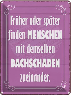 Produktbild von vianmo Blechschild 40x30 cm Menschen demselbe Dahschaden Dekoration Spruch Zitat