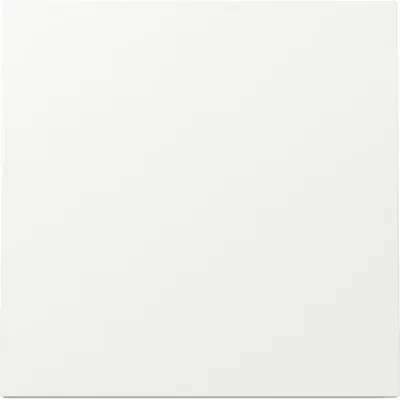 Produktbild von GIRA 329670, Weiß, GIRA, Aufspannplatte