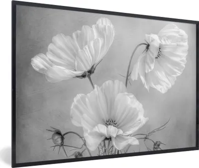 Produktbild von MuchoWow® Gerahmtes Poster Stilleben - Blumen - Schwarz und weiß - Mohn - Botanisch 90x60 cm - Poster mit Schwarzem Bilderrahmen Wandposter Rahmen Foto Bilder - Fotorahmen - Foto-Plakat