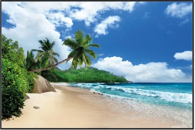 Produktbild von Wallario Wandbild Urlaub auf den Seychellen unter Palmen am Sandstrand, Größe: 61 x 91,50 cm, Poster mit schwarzem Aluminiumrahmen