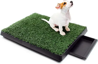Produktbild von Welpen Hundetoilette mit Gras 63x51cm – Hundeklo mit Kunstrasen als Trainingsunterlage für Welpen und Hunde