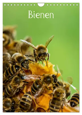 Produktbild von Bienen (Wandkalender 2027 DIN A4 hoch), CALVENDO Monatskalender