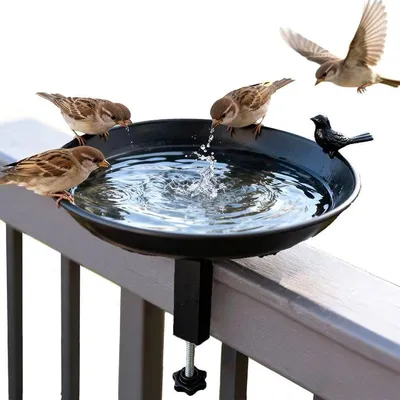 Produktbild von Rundes Vogelbad, Vogelfutter- und Trinkstation, freistehend, Gartenvogelbad, Wassertiefe ca. 2–3 cm, für Wildvögel, groß, frost- und kältebeständig