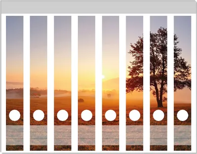 Produktbild von Wallario Ordnerrücken Sticker, selbstklebend für schmale Ordner, 8 Stück, Motiv Sonnenaufgang über der Wiese mit Nebel