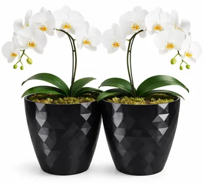 Immagine prodotto di Set di 2 vasi lucidi per interni ed esterni, colore nero, diametro 14 cm
