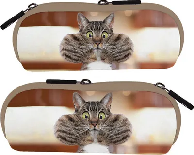 Produktbild von Brillenetui, Rannenberg & Friends, Katze, Puhh