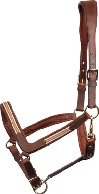 Produktbild von Harrys Horse Leder Halfter Flash braun, Größe:Full