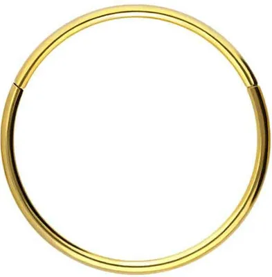 Produktbild von Ohrpiercing, Nasenpiercing, Septum Piercing Titan Segmentring Clicker Gold Innendurchmesser: 10mm + Stabstärke: 1mm