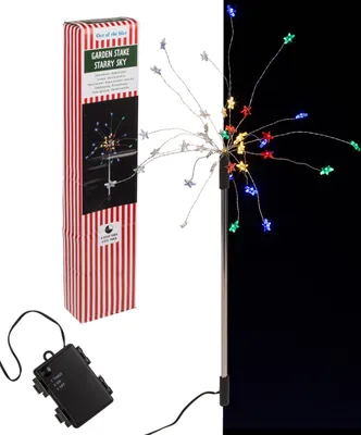 Produktbild von Bunter LED Gartenstecker, 40 LEDs, batteriebetrieben mit Timer