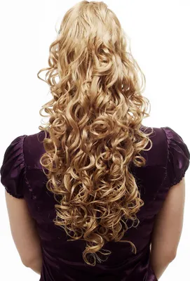 Produktbild von WIG ME UP Zopf, voluminös & lang, Blond N310-124