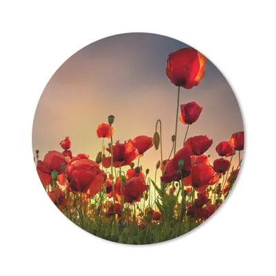 Produktbild von MuchoWow® Mauspad Mousepad Bunter Himmel über einem Mohnblumenfeld in Dänemark 20x20 cm - Mousepads - Maus Mat - Pad - Mausunterlage - Schreibtischmatte
