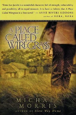 Produktbild von A Place Called Wiregrass