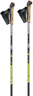 Obrázok produktu pre Lyže X-5 Strieborné 110 cm Strieborné 110 cm