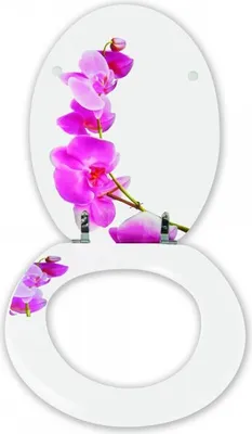 Produktbild von MSV 3700703949459, Verlängert, Harter Toilettensitz, Rose, Weiß, MDF-Platten, 365 mm, 425 mm