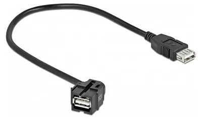 Image de Delock Keystone Modul USB 2.0 A Buchse 250° > USB 2.0 A Buchse mit Kabel schwarz