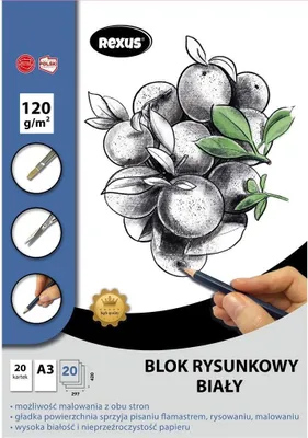 Image de Bloc de dessin A3/20K blanc Premium