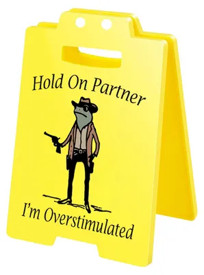 Produktbild von 1/2/3 Stück „Vorsicht Überreizung“-Tischschild mit Cowboy-Frosch-Motiv „Halt durch, Partner, ich bin überreizt“ – Mini-Tischschild für Zuhause oder Büro – Scherzartikel für Kollegen