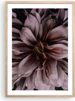 Produktbild von Gerahmtes Poster - Rahmen in heller Eiche - Blumenstrauß Künstlerisch Blume - 50x70 cm - Wand Bild - Wanddeko - Wandbilder - Kunstposter - Wandposter - Bilderrahmen - Bilder - P2NPA50x70-5019