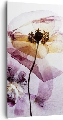 Produktbild von Bild auf Leinwand - Leinwandbild - blume sommer natur - 65x120cm - Wand Bild - Wanddeko - Leinwanddruck - Bilder - Kunstdruck - Wanddekoration - Leinwand bilder - Wandkunst - PA65x120-3821