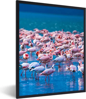 Produktbild von MuchoWow® Gerahmtes Poster Flamingo - Wasser - Tropisch - Rosa 60x80 cm - Poster mit Schwarzem Bilderrahmen Wandposter Rahmen Foto Bilder - Premium - Wanddeko Wohnzimmer