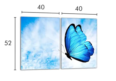 Obrázok produktu pre Ochranný sklenený plech na sporák 2x40x52 Butterfly