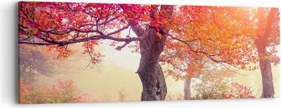 Produktbild von Bild auf Leinwand - Leinwandbild - Baum Natur Wiese - 90x30cm - Wand Bild - Wanddeko - Wandbilder - Leinwanddruck - Bilder - Kunstdruck - Wanddekoration - Leinwand bilder - Wandkunst - AB90x30-3658