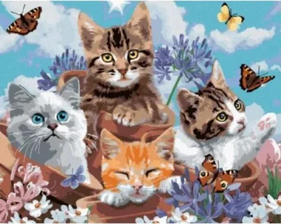 Produktbild von NORIMPEX Malerei nach Nummern 4 Katzen mit Schmetterlingen 40 x 50 cm 6374