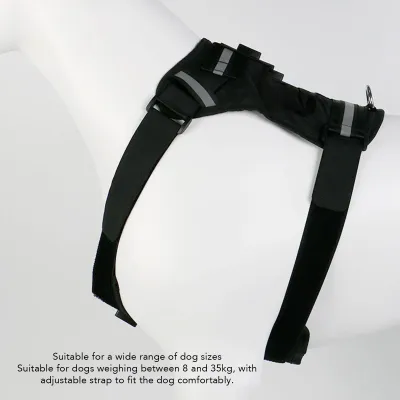 Image de Support de harnais pour chien pour caméra d'action Nylon poitrine et dos fixation gilet pour animaux de compagnie grands chiens moyens petits chiens