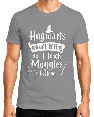 Productafbeelding van Hogwarts was niet op zoek naar nieuwe docenten, dus geef ik les aan gewone mensen. Harry Potter Halloween heren T-shirt, grijs, maat L