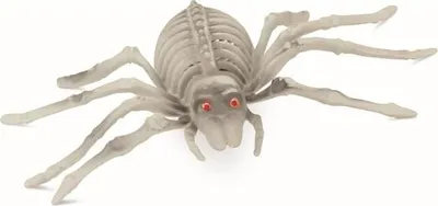 Produktbild von Deko Spinnenskelett mit LED