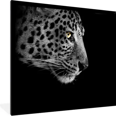 Produktbild von MuchoWow® Gerahmtes Poster Leopard - Schwarz - Weiß 40x40 cm - Poster mit Schwarzem Bilderrahmen Wandposter Rahmen Foto Bilder - Mit Rahmen - Wanddekoration Schlafzimmer