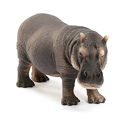 Zdjęcie produktu dla schleich WILD LIFE 14814, 3 lat(a), Safari, Wild animals / adventure toys, Wielobarwny, Plastik, 1 szt.