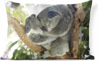 Produktbild von MuchoWow® Outdoor Kissen - Koalas - Knuddeln - Tiere - Jungen - Mädchen - 60x40 cm - Wetterfest - Lounge Kissen - Zierkissen - Kissen für Innenräume