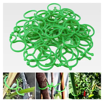 Produktbild von 200 Stück Pflanzenclips für Kletterpflanzen aus Kunststoff