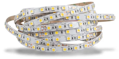 Produktbild von LED Strip 5050 Kaltweiß (6000k) 72W 500CM 24V IP20