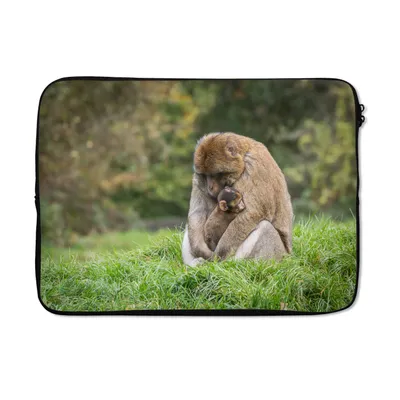 Produktbild von MuchoWow® Laptop Hülle 14 ZollAffe - Jung - Gras Laptoptasche - Laptoptasche - Stoßsicher - Schutzhaube
