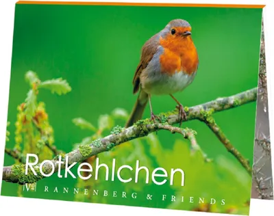 Produktbild von Postkartenbuch Rotkehlchen Postkartenbücher Ansichtskarte Postkarte Vogel Gartenvogel