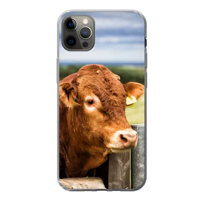 Produktbild von MuchoWow® Handyhülle Schutzhülle Hülle für iPhone 13 Pro Max Schottischer Highlander - Berg - Zaun Silikon Softcase Handy Hülle - Mobiltelefon