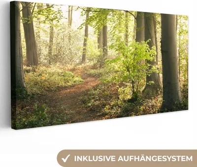 Produktbild von MuchoWow® - Leinwandbilder - Wald - Bäume - Weg - Sonne - Pflanzen - Laub - Natur, Wandbild, Wanddeko Bilder Wohnzimmer, 40x20 cm