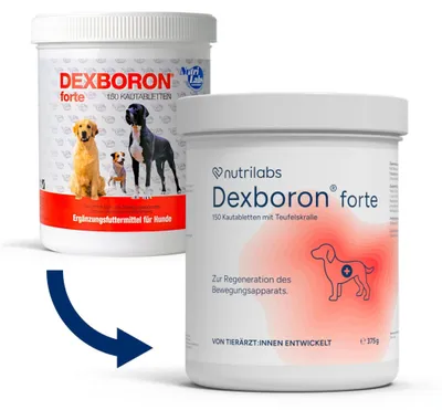 Produktbild von NutriLabs Dexboron forte Hunde Kautabletten 150 STK. - Tabletten mit Teufelskralle - Regenerationsmittel mit Weidenrinde, Weihrauchextrakt u.v.m.