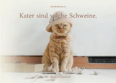 Produktbild von Kater sind solche Schweine.