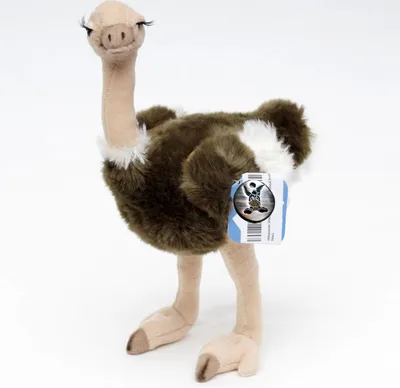 Produktbild von Strauß Kuscheltier Vogel stehend 32 cm Laufvogel Plüschtier DUNDEE