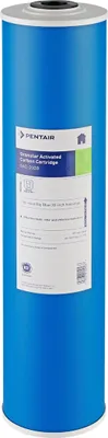 Produktbild von Pentek Aktivkohle Wasserfilter GAC-20BB