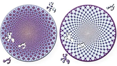 Immagine prodotto di CURIOSI Puzzle in legno bifacciale Double: Bodies 88 pezzi