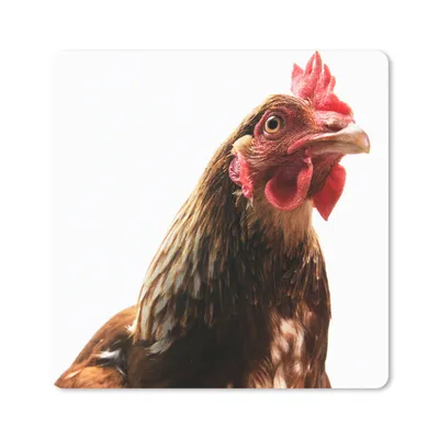 Produktbild von MuchoWow® Mauspad Mousepad Hahn - Bauernhoftiere - Federn 20x20 cm - Mousepads - Maus Mat - Pad - Mausunterlage - Desk Mat - Bureauartikeln