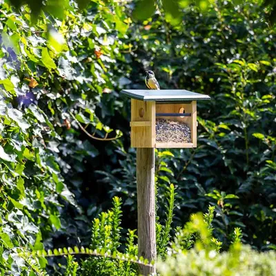Productafbeelding van Voederhuis tilburg CJ Wildlife CJ Wildbird