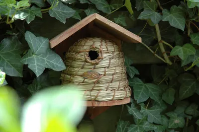 Image de Nichoir pour oiseaux ruche