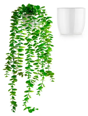Image de Eucalyptus artificiel (60 cm) dans un pot en céramique blanc : Plantes artificielles suspendues | Plantes artificielles réalistes | Plantes artificielles suspendues | Plante artificielle suspendue en pot